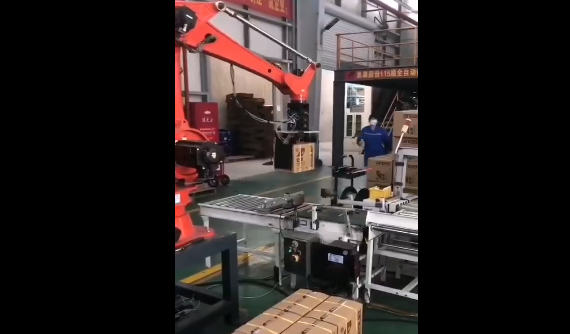 爾必地碼垛機器人紙箱碼垛搬運應用案例視頻